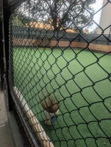Image of 8000 Sq.ft Residential Plot / Land for sale in Indira Nagar, Bengaluru for Rs. 120000000
