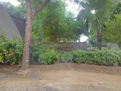 aarohi ploting Plot View 3
