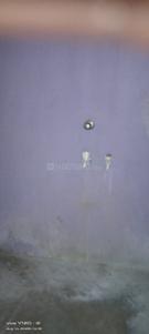 1 BHK Independent House