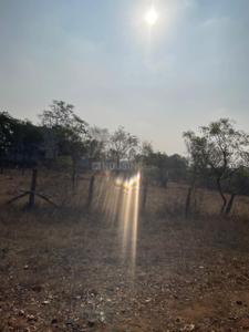 Image of 1510 Sq.ft Residential Plot / Land for sale in Vadavalli, Coimbatore for Rs. 3300000