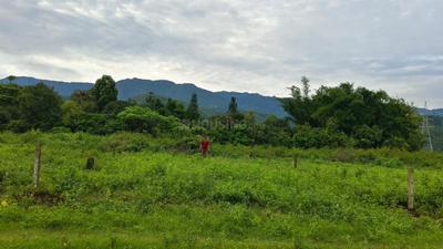 Investors Dhaulas Nature Farms Plot View 2