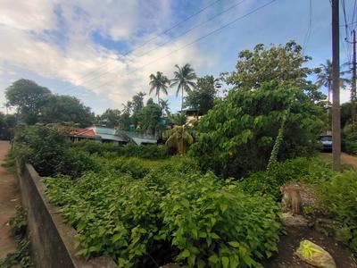 Thazhuthala Plot View 2