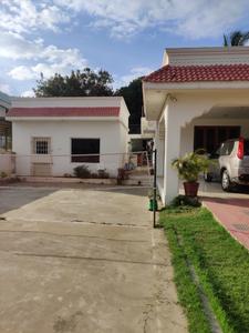 Image of May flower in Seelanaickenpatti, Jerugumalai R.F.