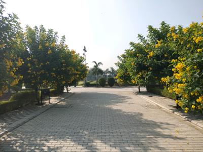 Image of 107 Sq.ft Residential Plot / Land for sale in Mansha Oaks, Sector 98, Faridabad for Rs. 13910000