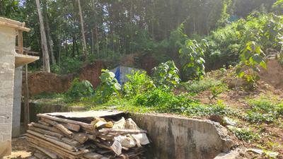 Image of 3050 Sq.ft Residential Plot / Land for sale in Peyad, Thiruvananthapuram for Rs. 1200000
