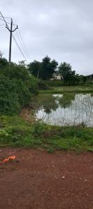 Image of 1800 Sq.ft Residential Plot / Land for sale in Tifra, Bilaspur for Rs. 3500000