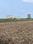 Kaza Plot View 2