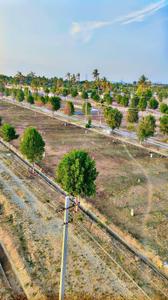 Image of 800 Sq.ft Residential Plot / Land for sale in Nandi, Chikballapur District for Rs. 1439200