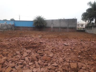 Misrod Plot View 1