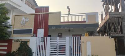 Image of 1650 Sq.ft Residential Plot / Land for sale in Lam, Guntur for Rs. 1200000