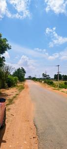 Amangal Plot View 2
