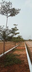 Image of 1000 Sq.ft 2 BHK Builder Floor for sale in Yellamanchili, Visakhapatnam for Rs. 2800000