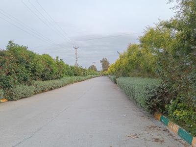 Image of 1500 Sq.ft 3 BHK Duplex for sale in Avalapalli, Hosur for Rs. 13800000