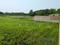 Sonargaon 2 Main Image 1