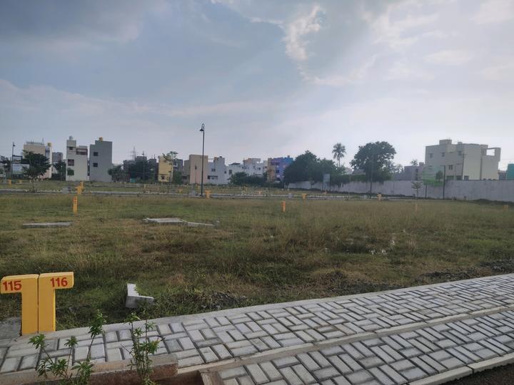 Homeland Klassic Main Image 1