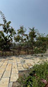 Image of 1453 Sq.ft Residential Plot / Land for sale in Ganeshapuram, Coimbatore for Rs. 2183859