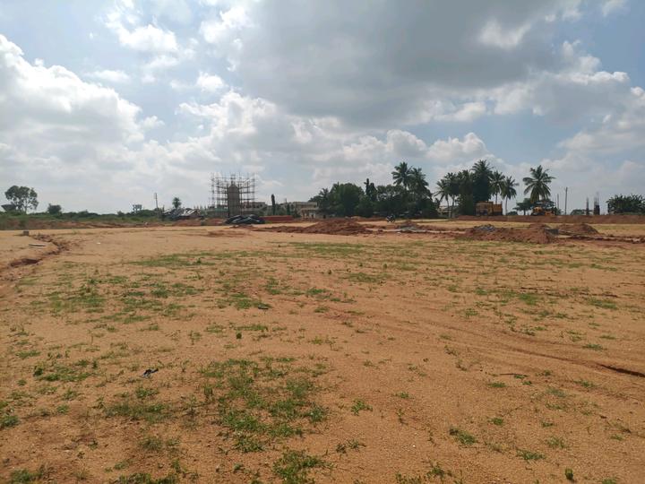 SGD 4th city Main Image 1