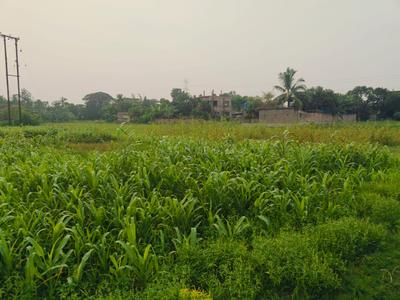 Image of 1440 Sq.ft Residential Plot / Land for sale in Sonarpur, Kolkata for Rs. 790000