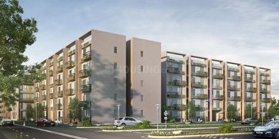 3 BHK Flat