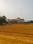 Tanyavas Phase 11 Main Image 1