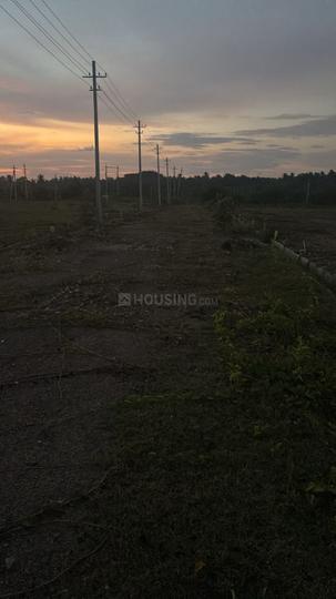 Danagalli Main Image 1