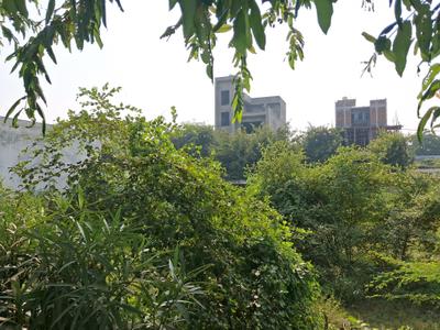 Image of 250 Sq.ft Residential Plot / Land for sale in Sector 151, Noida for Rs. 50000000