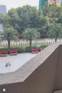 Balcony Image of 591 Sq.ft 2 BHK Apartment / Flat for rent in Pyramid Fusion Homes, Sector 70A Gurgaon for Rs. 36000