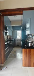 Kitchen Image of 1025 Sq.ft 2 BHK Apartment / Flat for rent in Alpine Fiesta, Whitefield Bengaluru for Rs. 45000