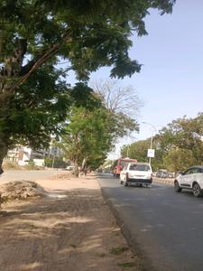 The Creek Internal Roads 1