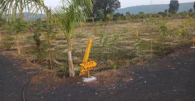 Barela Plot View 1