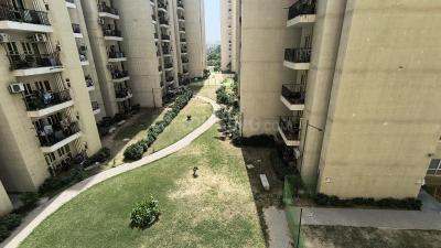 Balcony Image of 833 Sq.ft 3 BHK Apartment / Flat for sale in GLS Avenue 51, Sector 92 Gurgaon for Rs. 7440000