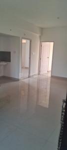 Hall Image of 972 Sq.ft 2 BHK Apartment / Flat for rent in Thrippunithura Kochi for Rs. 20000