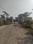 Kajarwara Gram Plot View 2