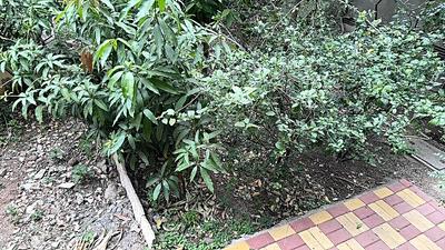 Image of 600 Sq.ft 1.5 BHK Apartment / Flat for sale in Karia Konark Nagar Phase 1, Viman Nagar, Pune for Rs. 8100000