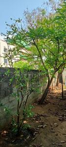 Image of 6200 Sq.ft Residential Plot / Land for sale in Navalur, Chennai for Rs. 55000000