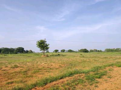 Image of 184 Sq.ft Residential Plot / Land for sale in Alair, Yadadri Bhuvanagiri for Rs. 1800025