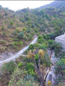 Image of 3612 Sq.ft Residential Plot / Land for sale in Sahastradhara, Dehradun for Rs. 12030000