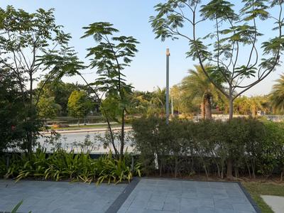 suramya seven Plot View 2