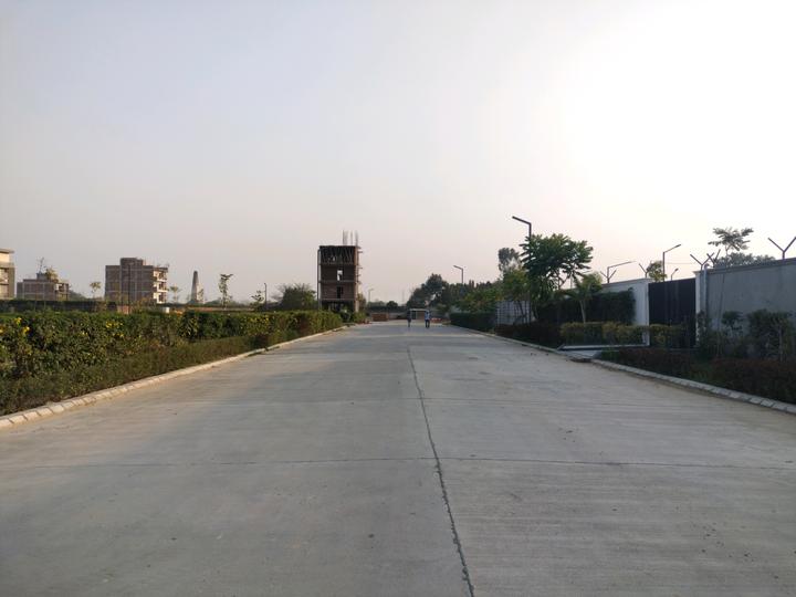 Amolik Aster Woods Main Image 1