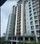 Malabar royal palm Kottooli More Images 3