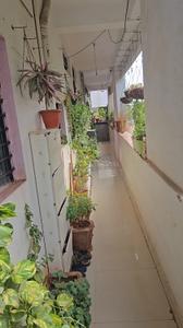 Image of 828 Sq.ft 2.5 BHK Apartment / Flat for sale in Shambhognlli, Gulbarga for Rs. 5800000
