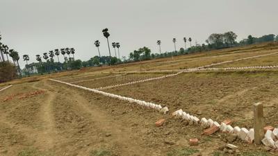Bihta More Images 3
