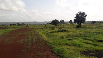 Image of 3012 Sq.ft Residential Plot / Land for sale in Kankavli, Sindhudurg for Rs. 1700000