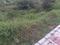 Raheja Vanya Main Image 1