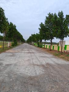 Image of 2745 Sq.ft Residential Plot / Land for sale in Bhoomatha Thalluri Township Phase 1, Bhogapuram, Visakhapatnam for Rs. 10675000