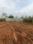 KHB ATTIBELE Main Image 1