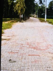 Image of 682 Sq.ft Residential Plot / Land for sale in DLF Phase 2, DLF Phase 2, Gurgaon for Rs. 330000000