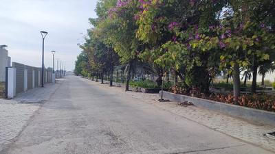 Image of 760 Sq.ft Residential Plot / Land for sale in IBD Californea Citi, Khatri Khedi, Indore for Rs. 3800000