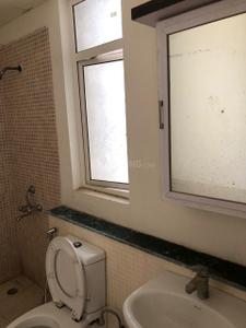 Bathroom Image of 1350 Sq.ft 3 BHK Apartment / Flat for rent in Jaypee Kosmos, Sector 134 Noida for Rs. 25000