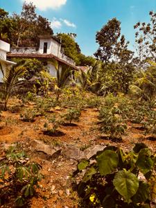 Image of 566 Sq.ft Residential Plot / Land for sale in Athirampuzha, Kottayam for Rs. 145000